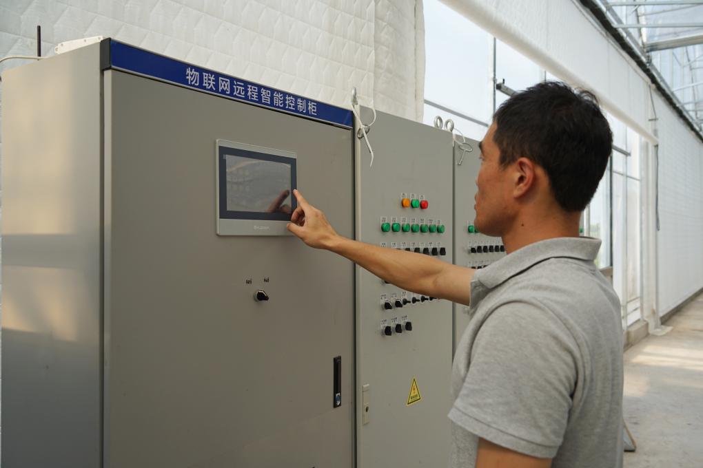 1755311096112921.jpg 1129950781_16987479136631n.jpg