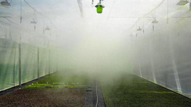 1755312571383591.jpg bd98-8ddfdc9ee8d435bb857febf1c802fd8f.jpg