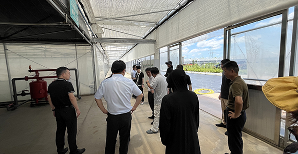 1755313357224337.jpg 微信图片_20250812170824_109.jpg